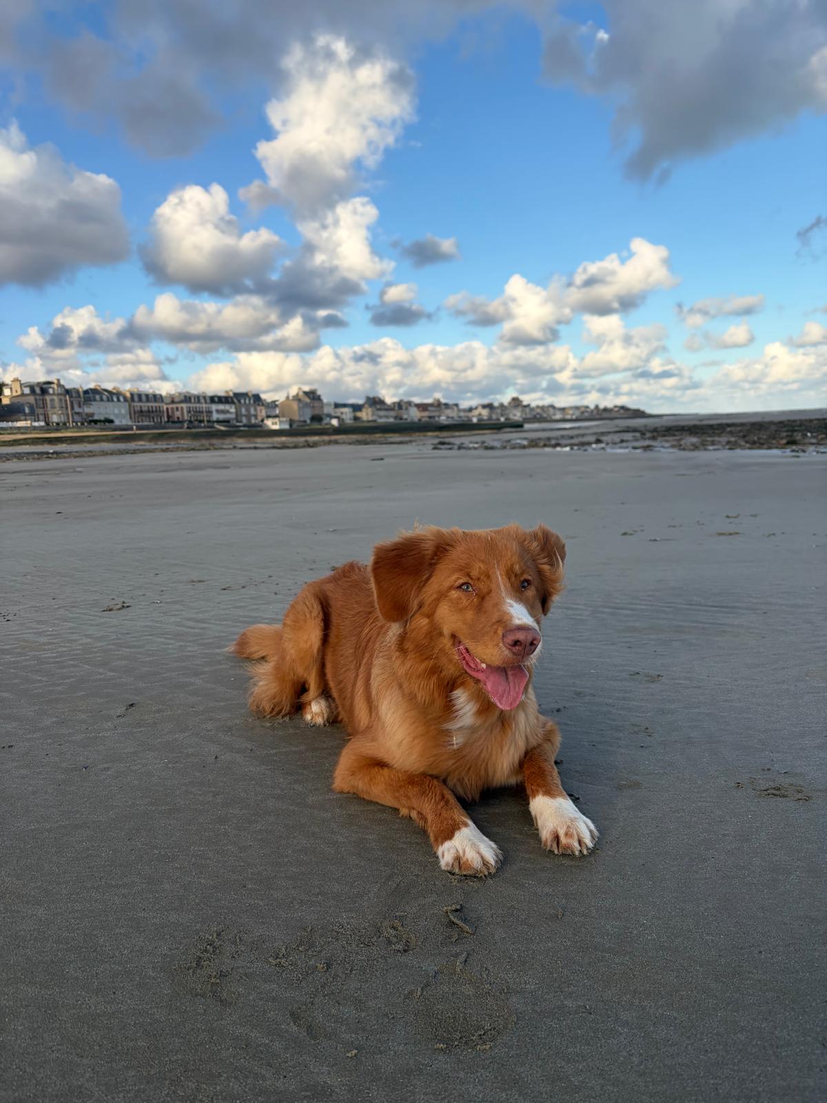 Aïka, allongée sur le sable au bord de la mer